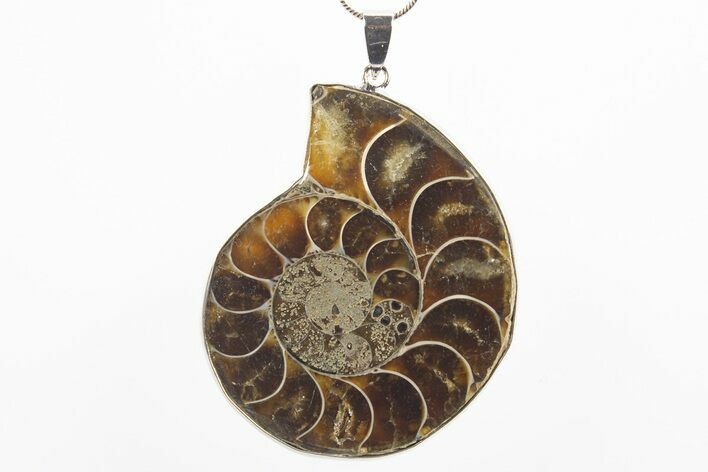 Fossil Ammonite Pendant - Million Years Old #306469